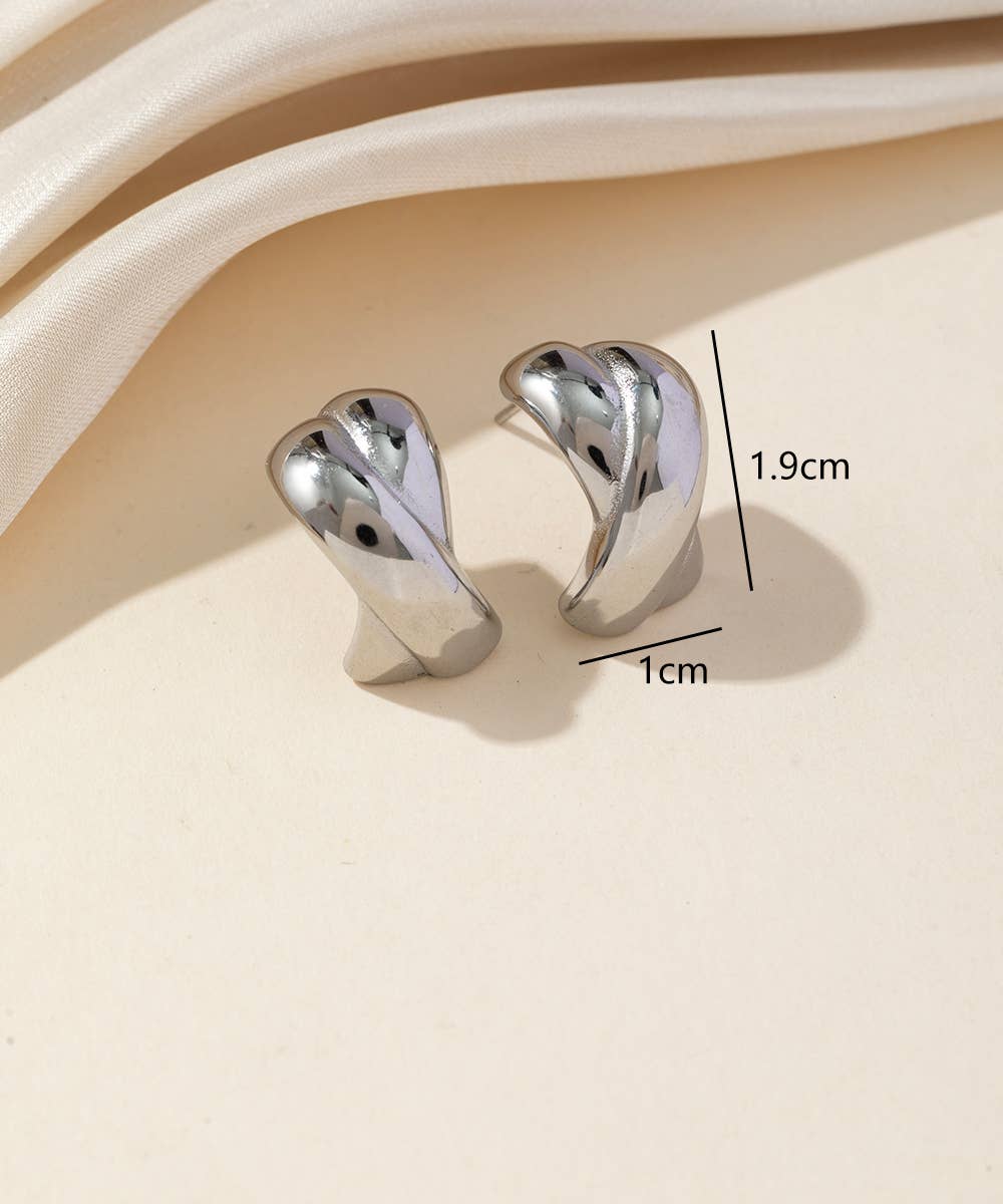 Stud Earrings: Silver