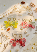 BO Gao: Cherries
