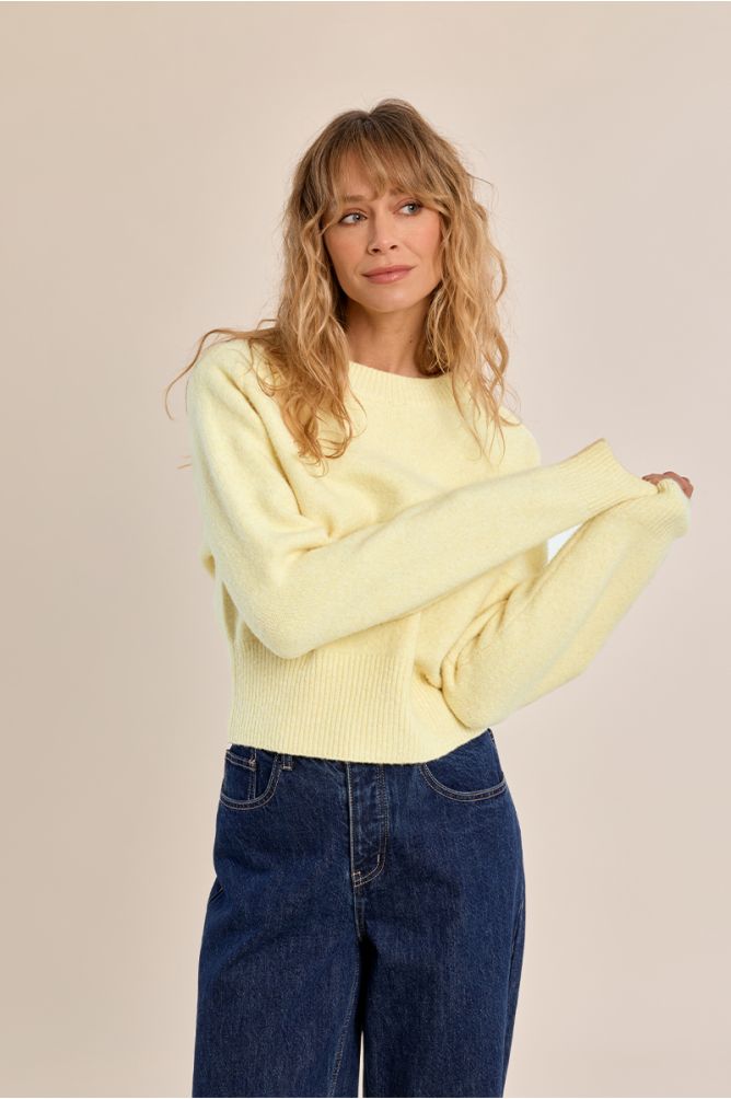 Ribbed cropped sweater in lemon